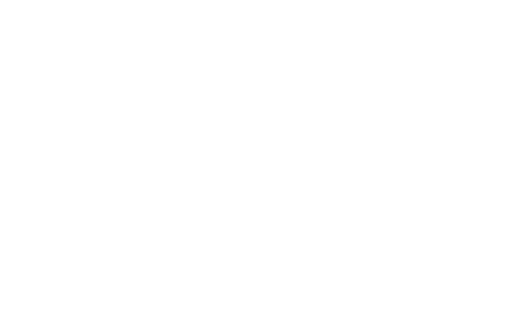 ANA Logo