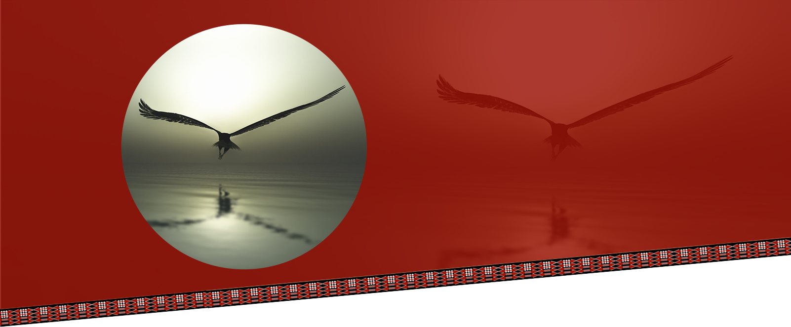 OPR Video Request